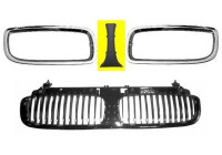 Radiator Grille