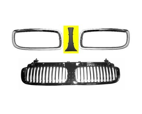 Radiator Grille