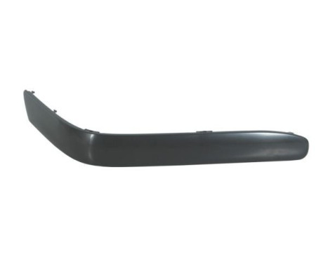 Trim / protection panel, bumper