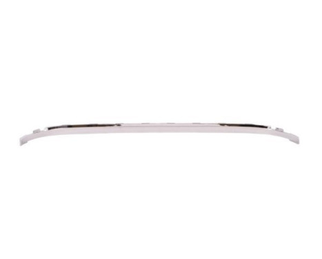 Trim / protection panel, bumper