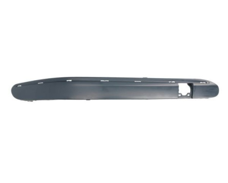 Trim / protection panel, bumper
