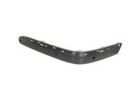 Trim / protection panel, bumper