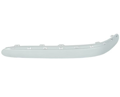 Trim / protection panel, bumper