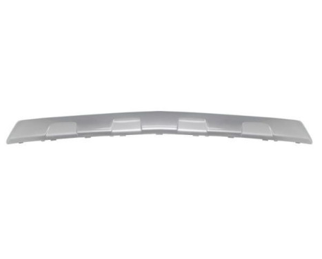 Trim / protection panel, bumper