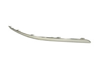 Trim / protection panel, bumper