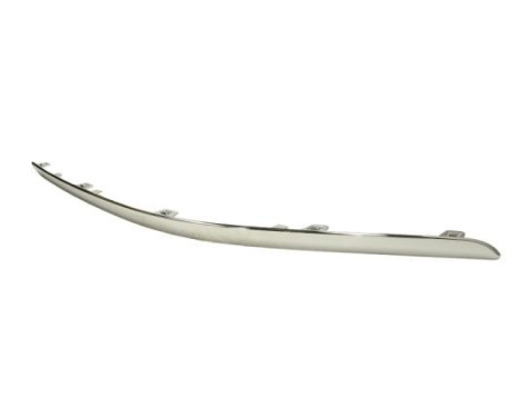 Trim / protection panel, bumper