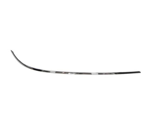 Trim / protection panel, bumper