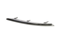 Trim / protection panel, bumper