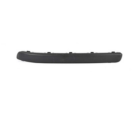 Trim / protection panel, bumper