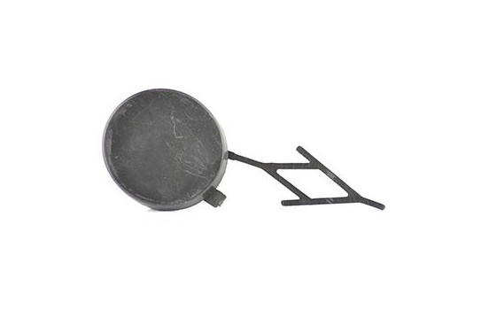 Trim / protection panel, bumper