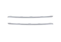 Trim/protection panel, bumper