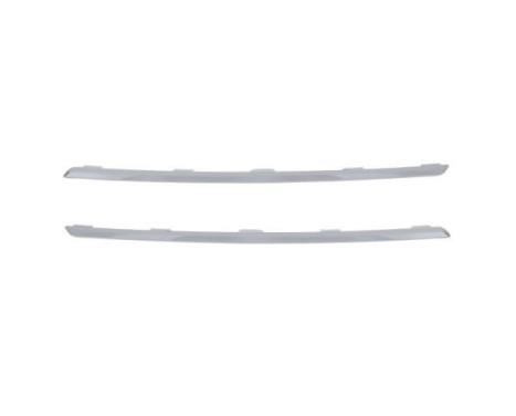 Trim/protection panel, bumper