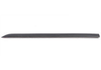 Trim / protection panel, door