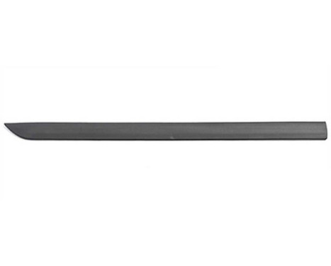 Trim / protection panel, door