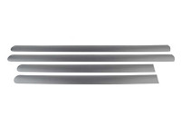 Trim / protection panel, door