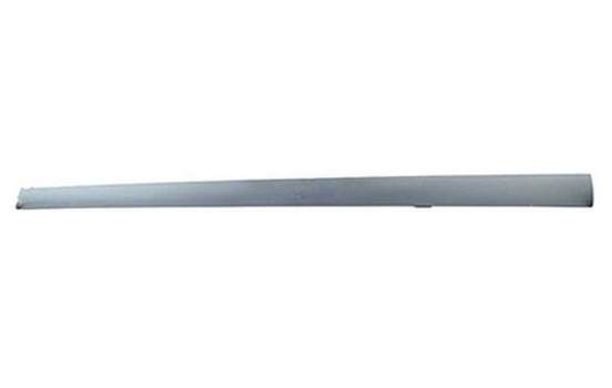 Trim / protection panel, door