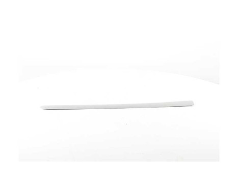 Trim / protection panel, door