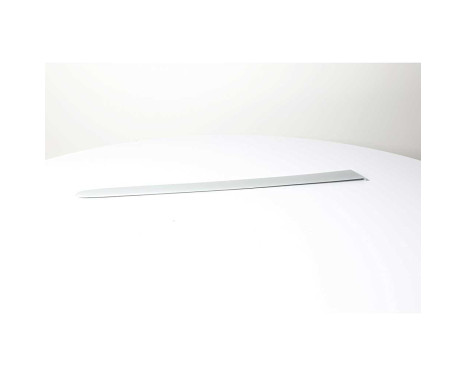 Trim / protection panel, door