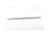 Trim / protection panel, door