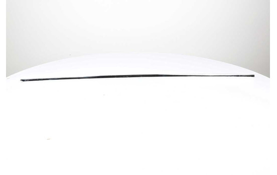 Trim / protection panel, door