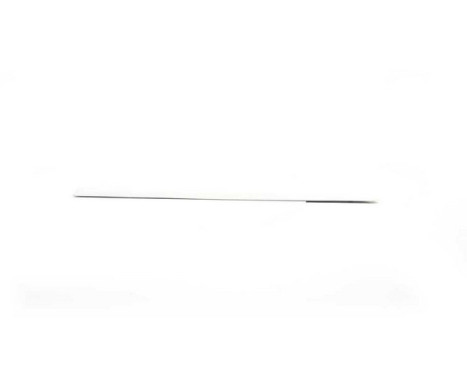 Trim / protection panel, door