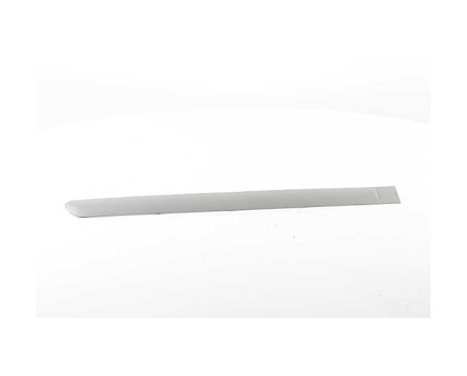 Trim / protection panel, door, Image 2