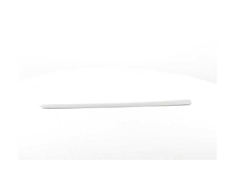 Trim / protection panel, door, Image 2