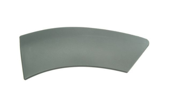 Trim / protection panel, fender