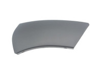Trim / protection panel, fender