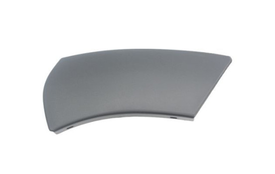 Trim / protection panel, fender