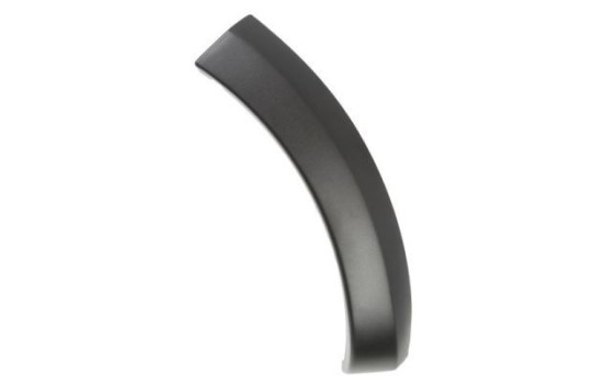 Trim / protection panel, fender