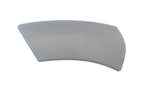Trim / protection panel, fender