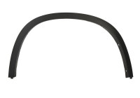 Trim / protection panel, fender