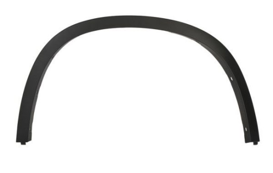 Trim / protection panel, fender