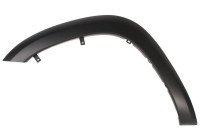 Trim / protection panel, fender