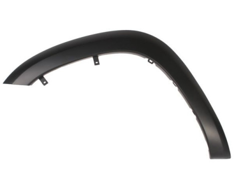 Trim / protection panel, fender