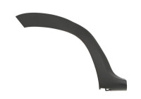Trim / protection panel, fender