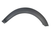 Trim / protection panel, fender