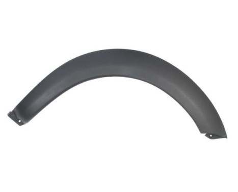 Trim / protection panel, fender