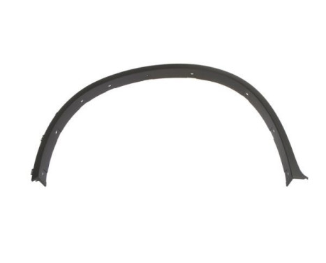Trim / protection panel, fender