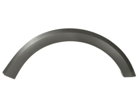 Trim / protection panel, fender