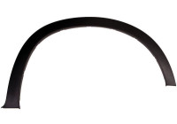 Trim / protection panel, fender