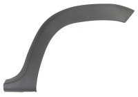 Trim / protection panel, fender