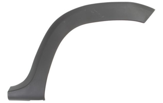 Trim / protection panel, fender