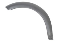 Trim / protection panel, fender
