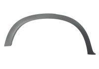 Trim / protection panel, fender