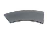 Trim / protection panel, fender