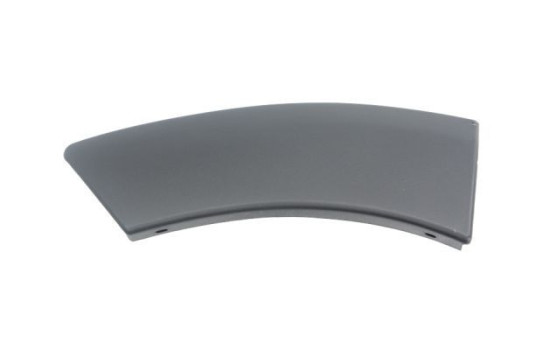 Trim / protection panel, fender