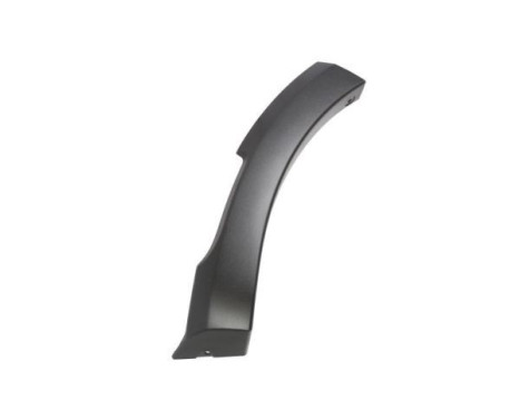 Trim / protection panel, fender