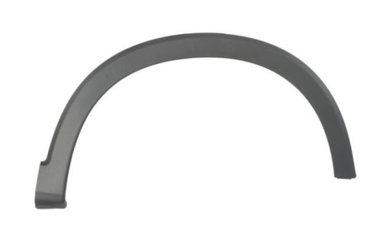 Trim / protection panel, fender